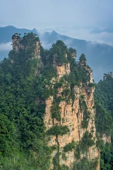 Vertical view of the stone pillars of Tianzi mountains in Zhangjiajie National park which is a famous tourist attraction, Wulingyuan, Hunan Province, China