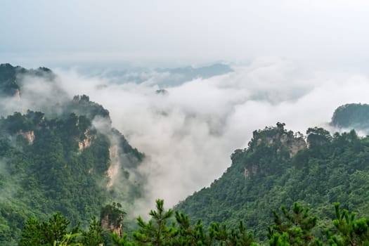 Panoramic view of the stone pillars of Tianzi mountains covered in morning mist and fog, Zhangjiajie National park, famous tourist attraction, Wulingyuan, Hunan Province, China