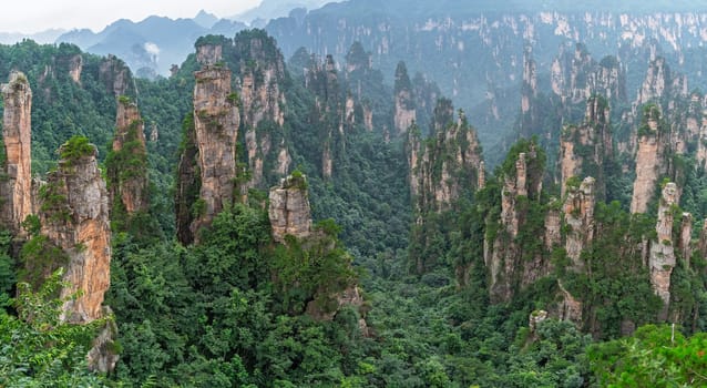 Panoramic view of the stone pillars of Tianzi mountains in Zhangjiajie National park which is a famous tourist attraction, Wulingyuan, Hunan Province, China