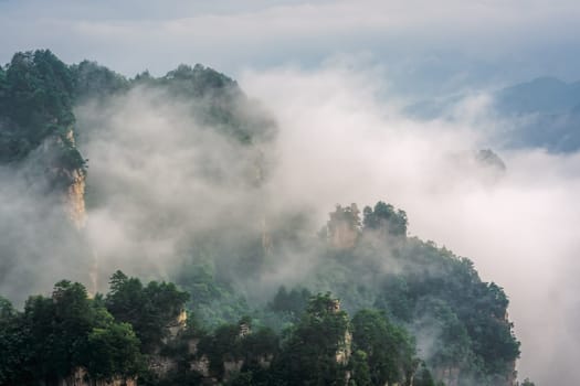 Low morning clouds engulfing stone pillars of Tianzi mountains in Zhangjiajie National park, a famous tourist attraction, Wulingyuan, Hunan Province, China