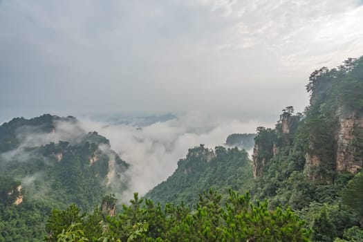 Panoramic view of the stone pillars of Tianzi mountains covered in morning mist and fog, Zhangjiajie National park, famous tourist attraction, Wulingyuan, Hunan Province, China