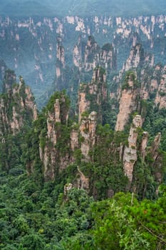 Vertical view of the stone pillars of Tianzi mountains in Zhangjiajie National park which is a famous tourist attraction, Wulingyuan, Hunan Province, China