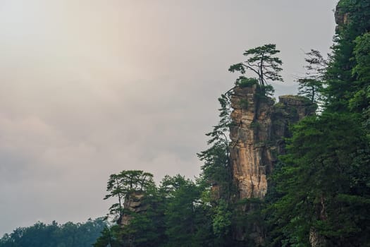 Morning misty and foggy view of the stone pillars of Tianzi mountains in Zhangjiajie National park, a famous tourist attraction, Wulingyuan, Hunan Province, China