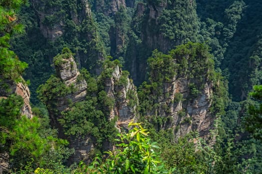 Vertical karst pillar rock formations as seen from the Enchanting terrace viewpoint, Avatar mountains nature park, Zhangjiajie, China