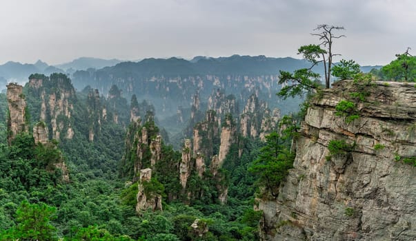 Panoramic view of the stone pillars of Tianzi mountains in Zhangjiajie National park which is a famous tourist attraction, Wulingyuan, Hunan Province, China
