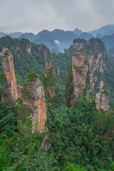 Vertical view of the stone pillars of Tianzi mountains in Zhangjiajie National park which is a famous tourist attraction, Wulingyuan, Hunan Province, China