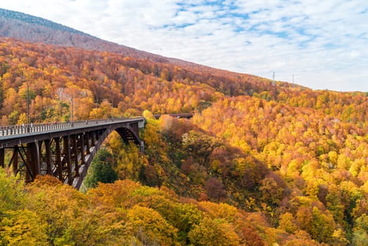 Autumn Fall Landscape of Forest and woods with Jogakura Ohashi Bridge in Aomori Tohoku Japan