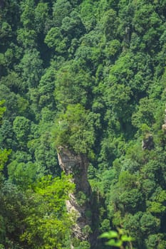 Vertical karst pillar rock formation as seen from the Enchanting terrace viewpoint, Avatar mountains nature park, Zhangjiajie, China