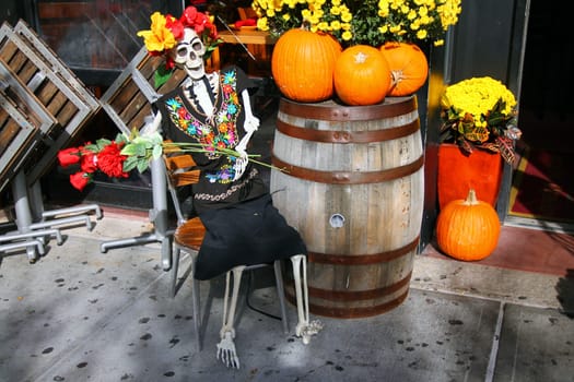 Dia del los muertos ready for Halloween