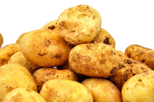 Fresh raw potato on white background
