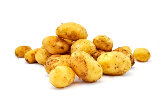 Fresh raw potato on white background