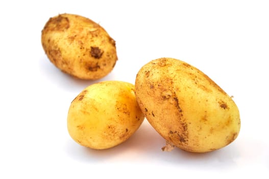 Fresh raw potato on white background