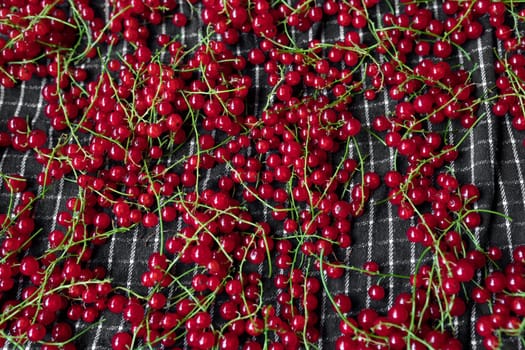 Red currant berries close up texture background. Red currant berry. Fresh red summer berries. Redcurrants top view