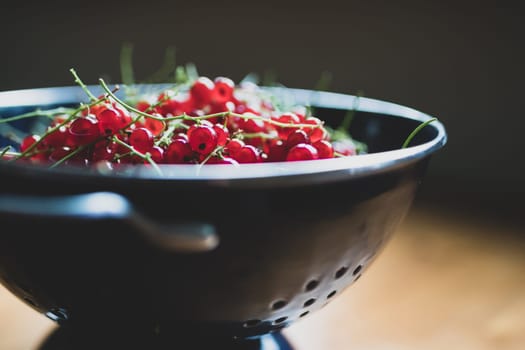 red currants in a blue colander on a wooden table. Ripe red currant berries. Close up view