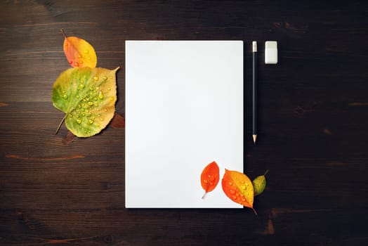 Blank letterhead, pencil, eraser and bright autumn leaves with water droplets on wooden background. Flat lay.