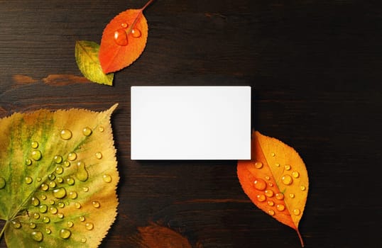 Blank business card and bright autumn leaves on wood table background. Flat lay.