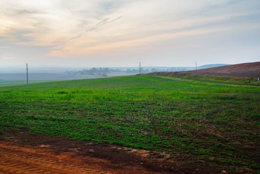 Evening rural landscape. Hill covered with green grass against sunset sky.