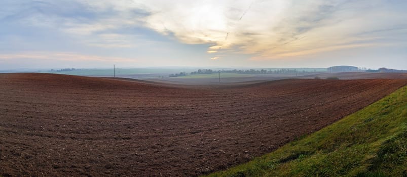 Panorama of arable land. Agricultural rural landscape. Evening in the countryside. Panoramic shot.