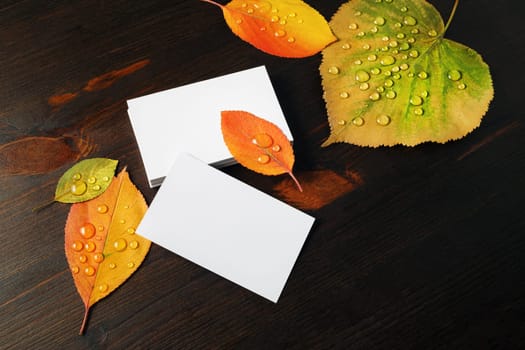Photo of blank business cards and autumn leaves with water droplets on wood table background.