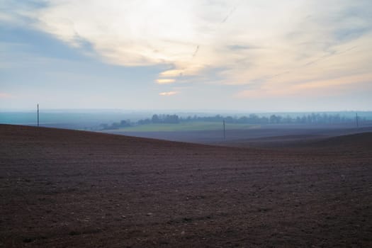 Arable crop field. Evening agricultural rural landscape.