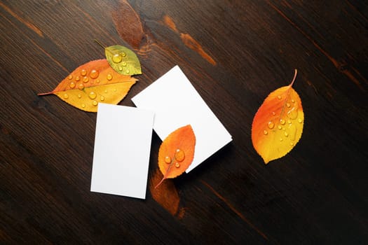 Blank white business cards and bright autumn leaves on wooden background. Flat lay.