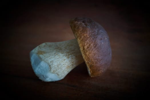 a porcini mushroom (Boletus edulis) from the forest on a kitchen table