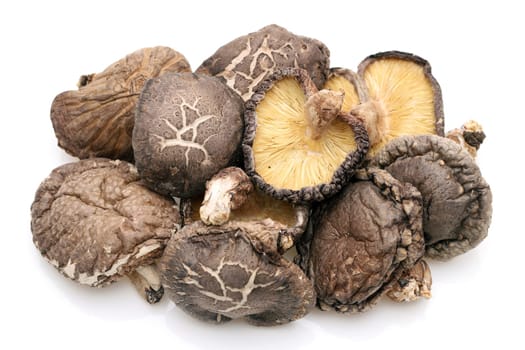 Japanese dried shiitake mushrooms on white background