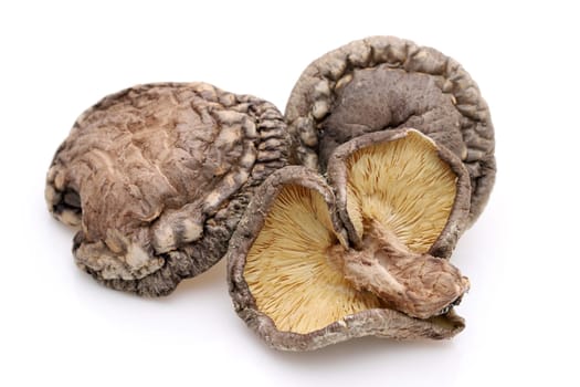 Japanese dried shiitake mushrooms on white background