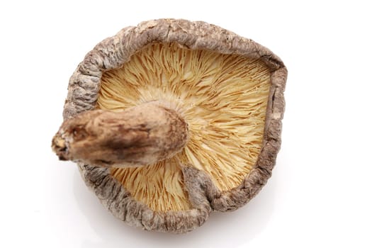 Japanese dried shiitake mushrooms on white background