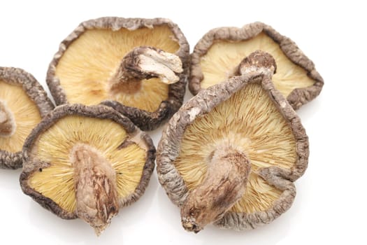 Japanese dried shiitake mushrooms on white background