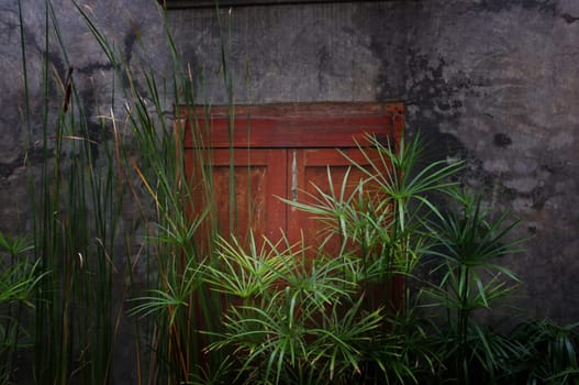 Old cement wall with wood window with sun set. Evening light on wall.