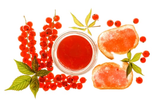 Red currant jelly with berries and jelly toast backlit on a lghtbox.