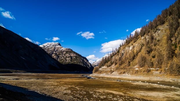 Beautiful mountain valley with stream and riverbed, trees and dried Livigno lake, puffy clouds and blue sky in background, Alps, Italy