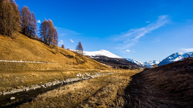 Beautiful mountain valley with stream, trees, puffy clouds and blue sky, Livingo village in background, Italy, Alps
