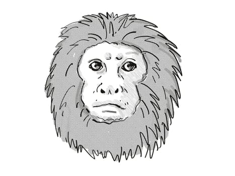 Retro cartoon style drawing of head of a Golden Lion Tamarin or Leontopithecus Rosalia , an endangered wildlife species on isolated white background done in black and white.