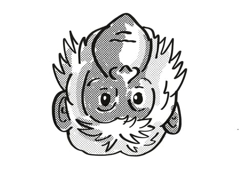 Retro cartoon mono line style drawing of head of a Bonobo or Pan paniscus, an endangered wildlife species on isolated white background done in black and white.