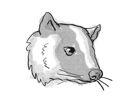 Retro cartoon style drawing of head of a Masked Palm Civet or Paguma Larvata, an endangered wildlife species on isolated white background done in black and white.