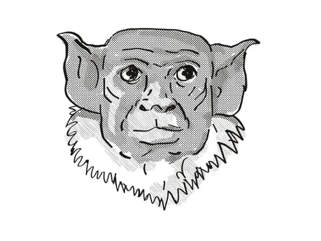 Retro cartoon style drawing of head of a pied tamarin, a small species of monkey in the rainforest of Brazil and an endangered wildlife species on isolated white background done in black and white.