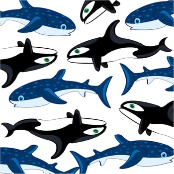 White whale and whale shark decorative pattern on white background is insulated