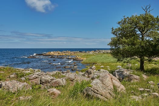 Coast line of Baltic Sea near the village of Svaneke on Island Bornholm in Denmark.