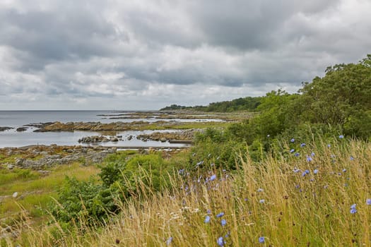Coast line of Baltic Sea near the village of Svaneke on Island Bornholm in Denmark.
