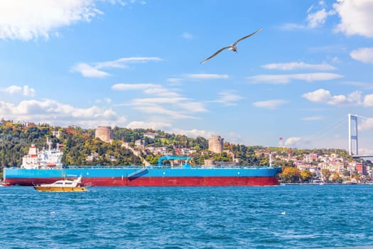 Big cargo ship in the Bosphorus near the Rumelian castle, Istanbul.