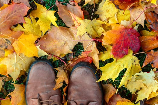 Fragment of brown boots standing on fallen yellow leaves. Season change concept. autumn season time.