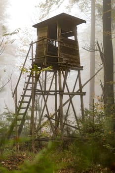 Wooden hunter perched at the forest edge in fog in autumnal pine forest against blurred background