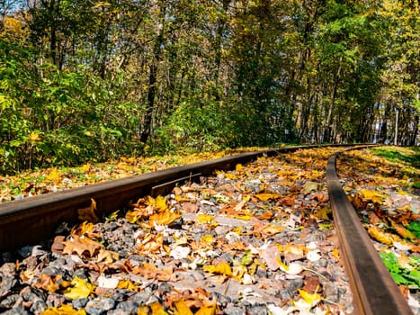 Old railway rails in autumn foliage. Transport.