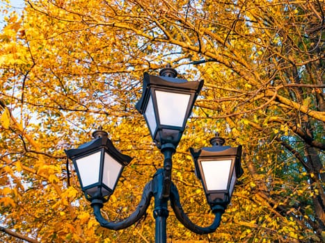 Decorative lampposts on the background of autumn foliage. Background image.