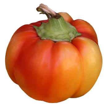 Red-yellow peppers exempted