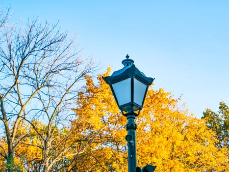 Decorative lampposts on the background of autumn foliage. Background image.