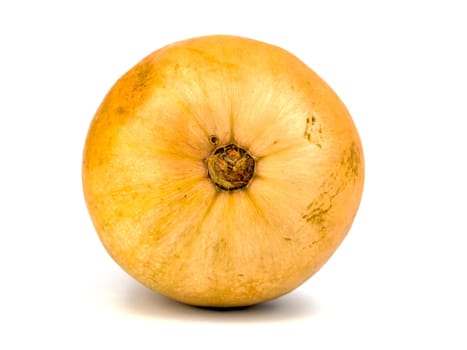 Orange vegetable pumpkin on a white background. Harvest. Place for text.