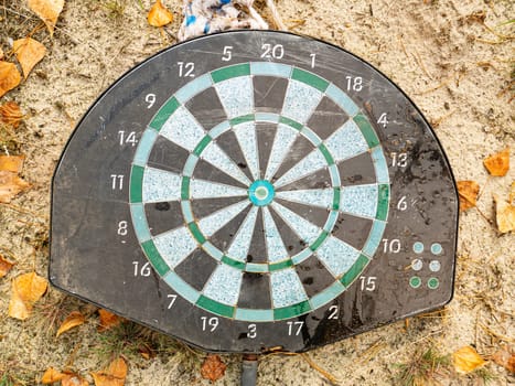 Target for playing darts. Leisure. Sport.